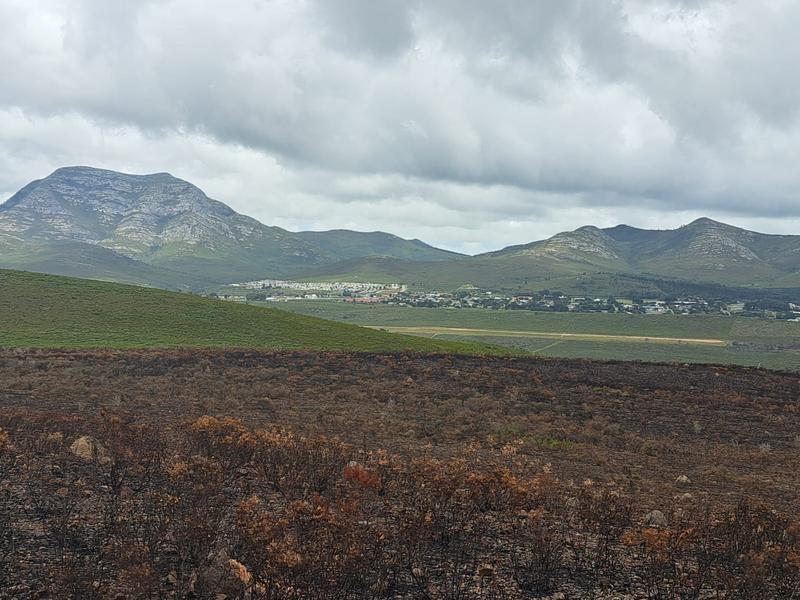 0 Bedroom Property for Sale in Kareedouw Eastern Cape